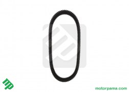 CINGHIA GATES RZR 50R4289  (3)